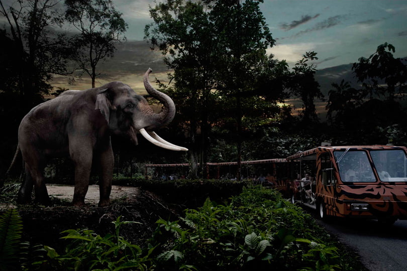 Singapore Night Safari