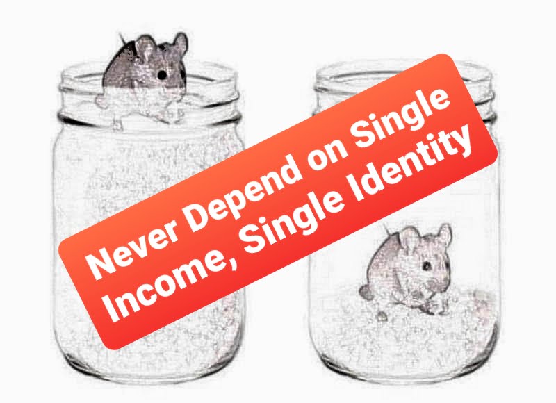 Never Depend on Single Income, Single Identity