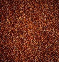 Ragi