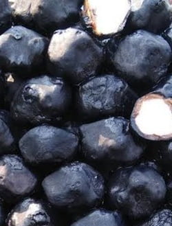 Water Chestnut
