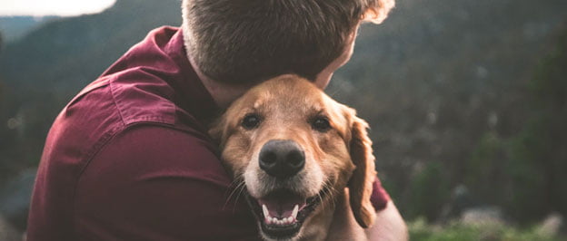 Consider adopting an emotional support pet